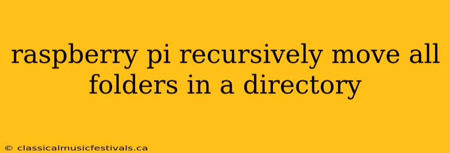 raspberry pi recursively move all folders in a directory