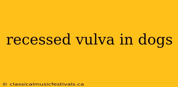 recessed vulva in dogs