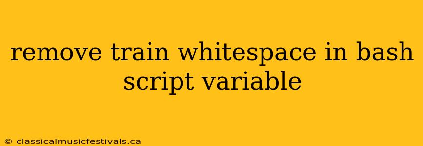 remove train whitespace in bash script variable