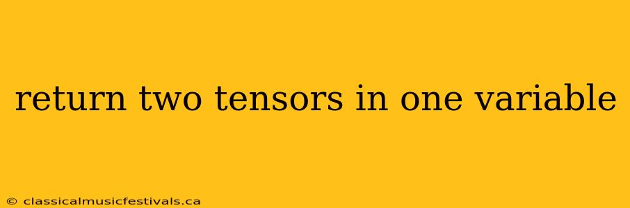 return two tensors in one variable