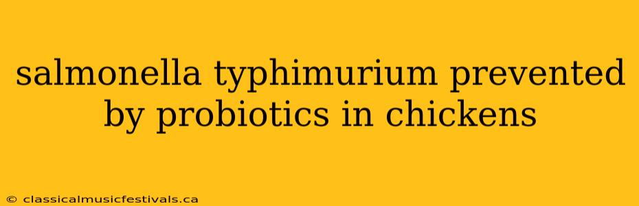 salmonella typhimurium prevented by probiotics in chickens