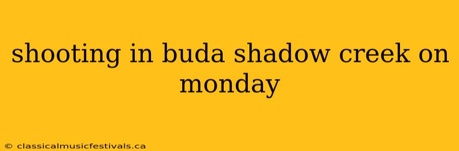 shooting in buda shadow creek on monday