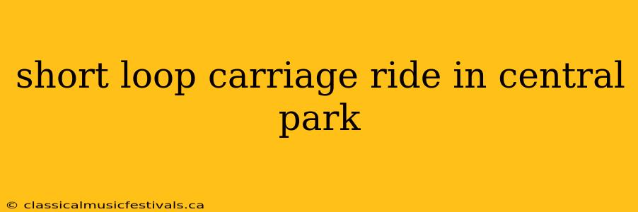 short loop carriage ride in central park