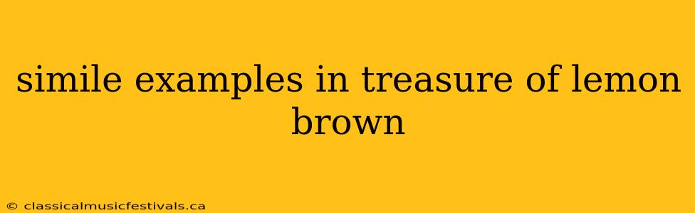 simile examples in treasure of lemon brown