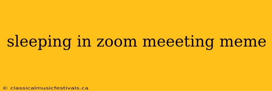 sleeping in zoom meeeting meme