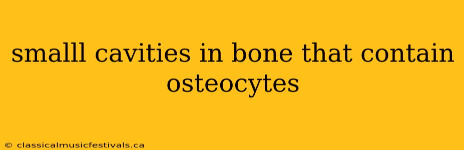 smalll cavities in bone that contain osteocytes