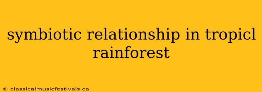 symbiotic relationship in tropicl rainforest