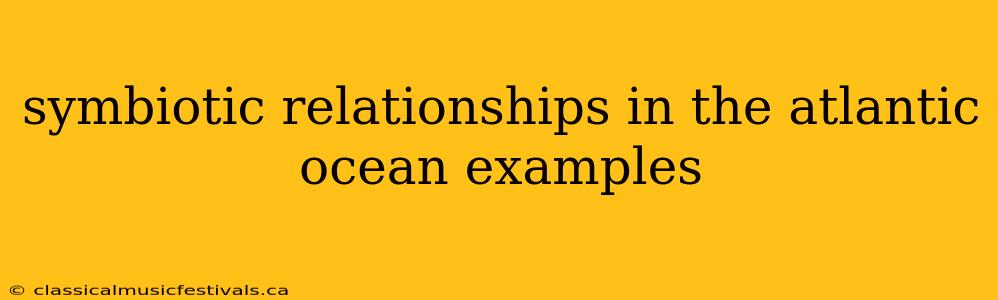 symbiotic relationships in the atlantic ocean examples