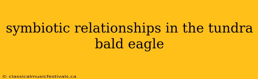 symbiotic relationships in the tundra bald eagle