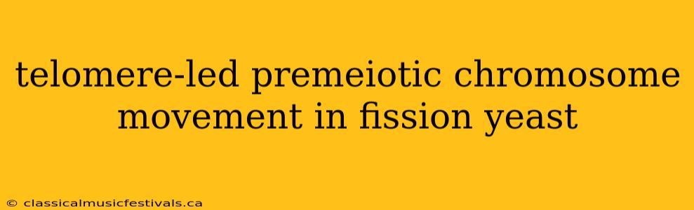 telomere-led premeiotic chromosome movement in fission yeast