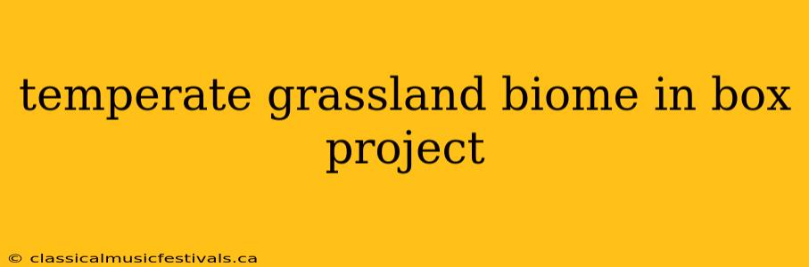 temperate grassland biome in box project