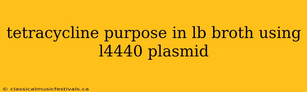 tetracycline purpose in lb broth using l4440 plasmid