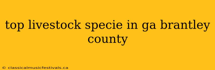 top livestock specie in ga brantley county