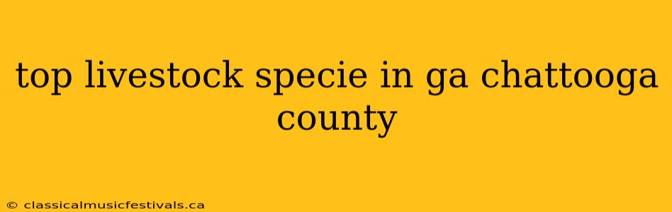 top livestock specie in ga chattooga county