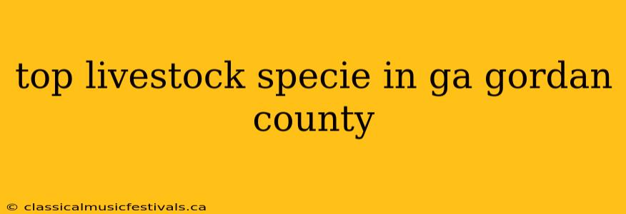 top livestock specie in ga gordan county