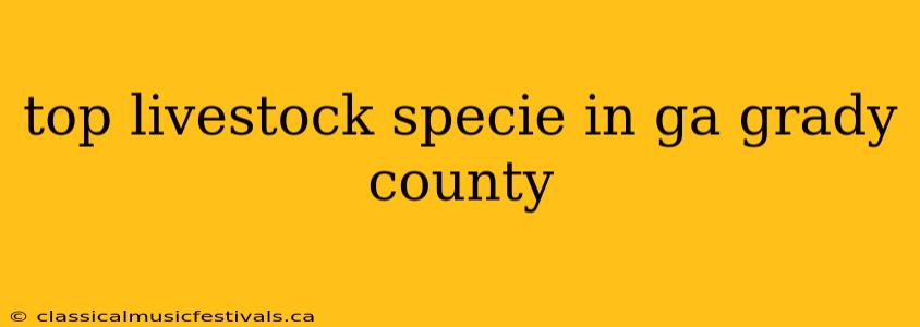 top livestock specie in ga grady county