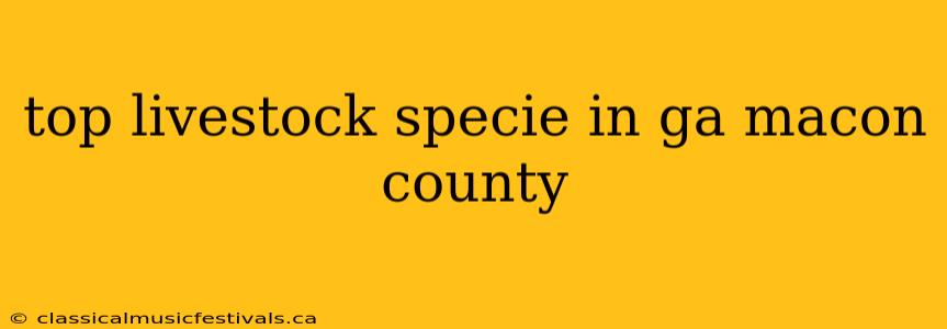 top livestock specie in ga macon county