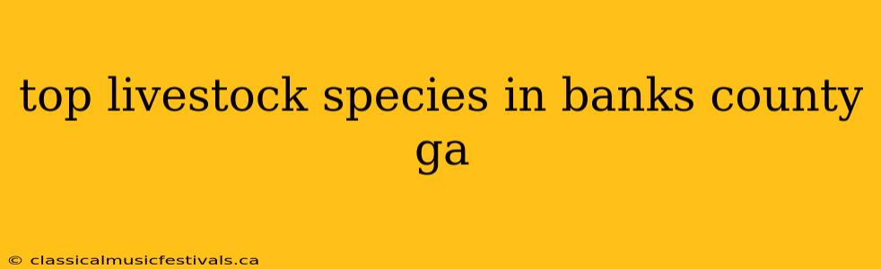 top livestock species in banks county ga