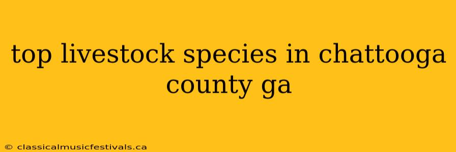 top livestock species in chattooga county ga