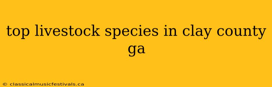 top livestock species in clay county ga