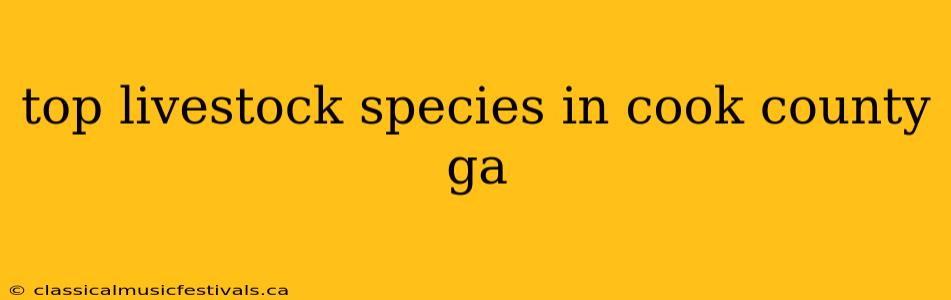 top livestock species in cook county ga