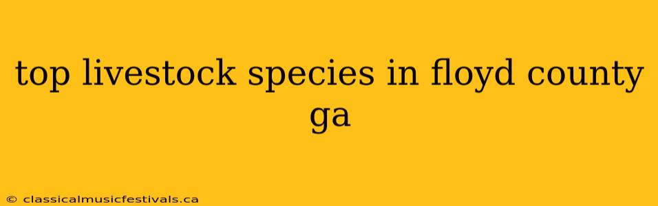 top livestock species in floyd county ga