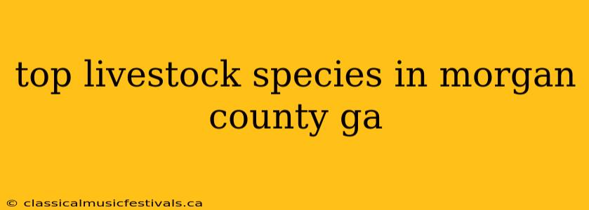 top livestock species in morgan county ga