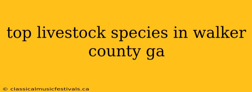 top livestock species in walker county ga