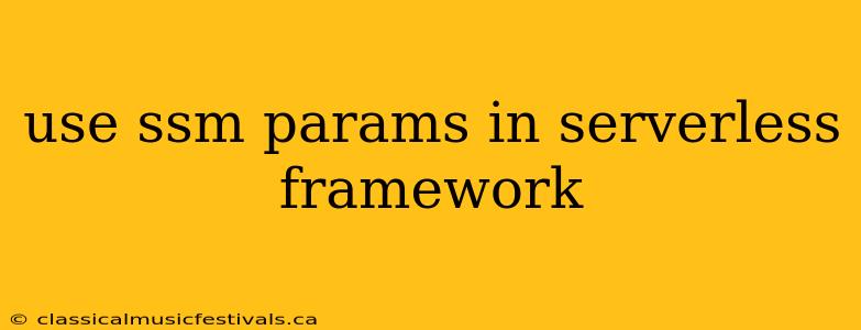 use ssm params in serverless framework