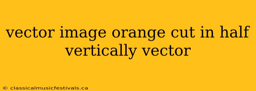 vector image orange cut in half vertically vector