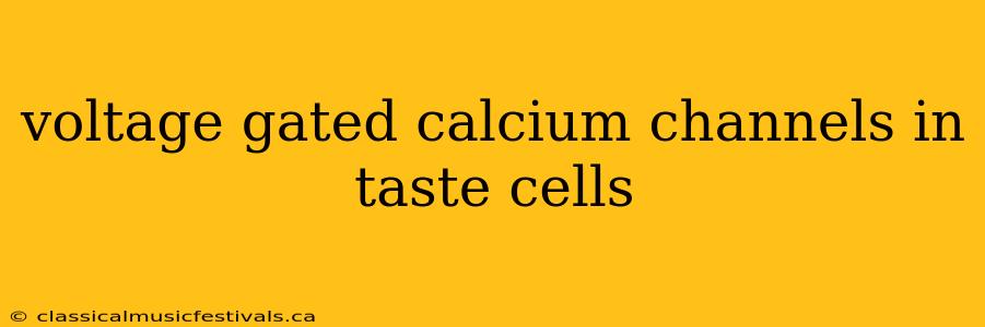 voltage gated calcium channels in taste cells