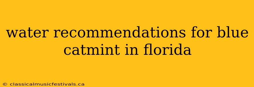 water recommendations for blue catmint in florida