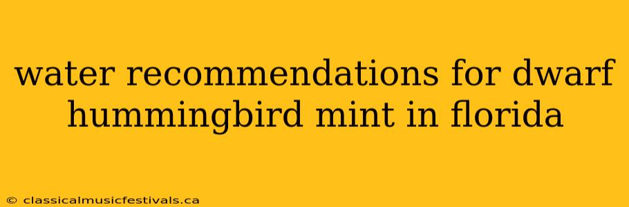 water recommendations for dwarf hummingbird mint in florida