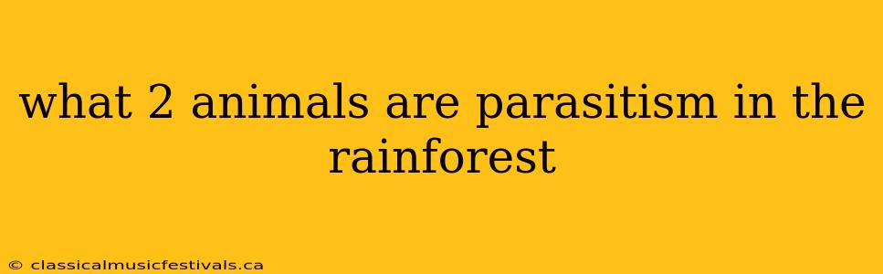 what 2 animals are parasitism in the rainforest