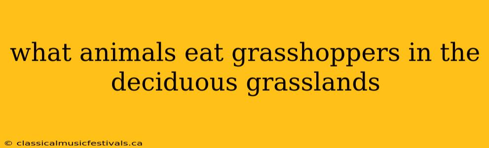 what animals eat grasshoppers in the deciduous grasslands