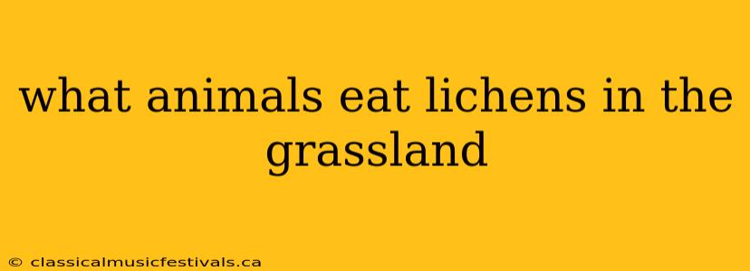 what animals eat lichens in the grassland