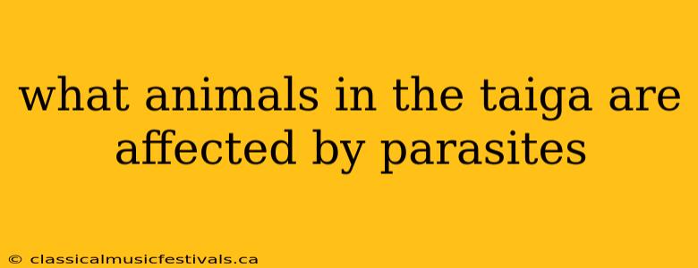 what animals in the taiga are affected by parasites