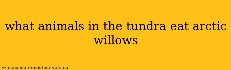 what animals in the tundra eat arctic willows