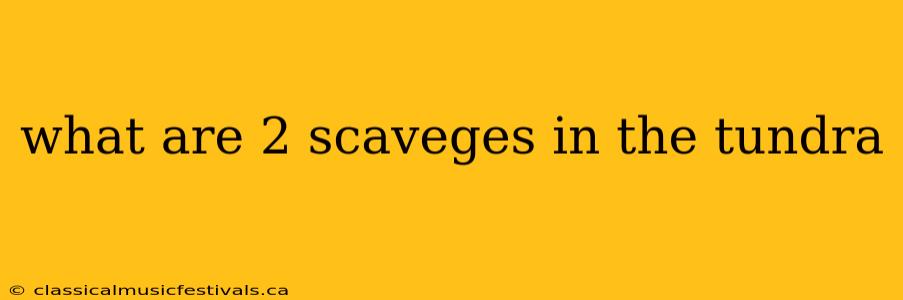 what are 2 scaveges in the tundra