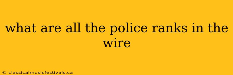 what are all the police ranks in the wire