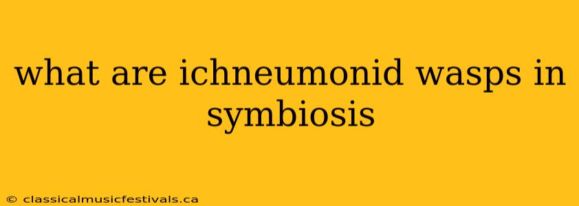 what are ichneumonid wasps in symbiosis