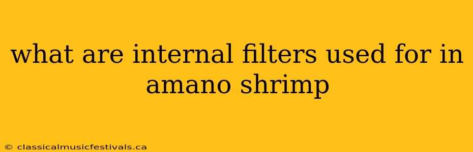 what are internal filters used for in amano shrimp