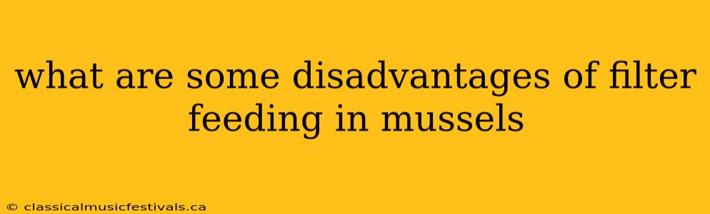 what are some disadvantages of filter feeding in mussels