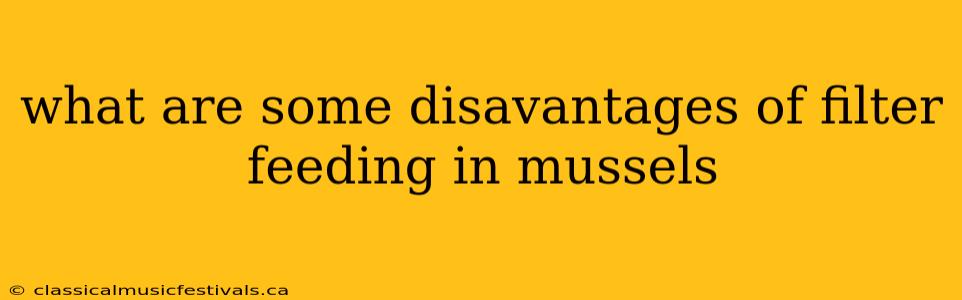 what are some disavantages of filter feeding in mussels