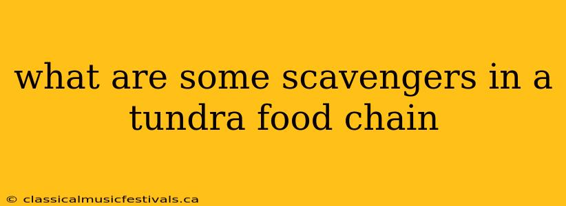 what are some scavengers in a tundra food chain