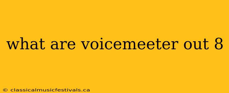 what are voicemeeter out 8