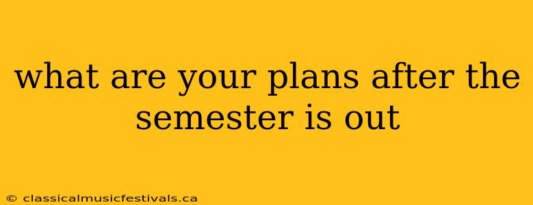 what are your plans after the semester is out