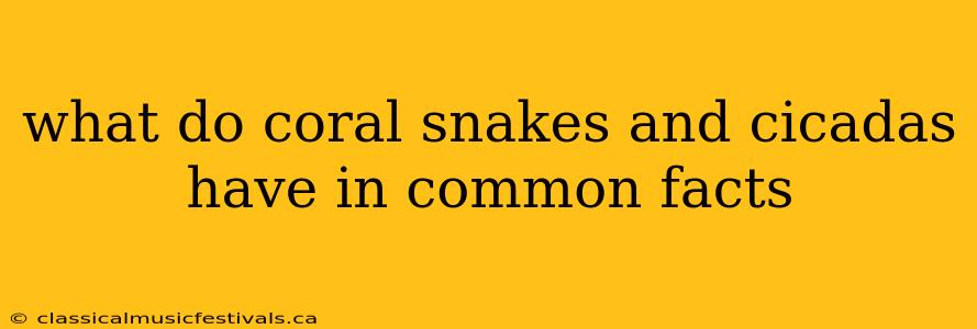 what do coral snakes and cicadas have in common facts