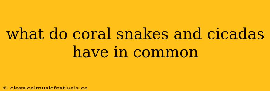 what do coral snakes and cicadas have in common