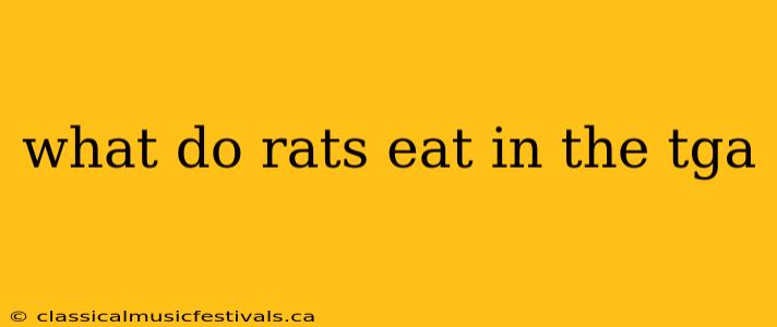 what do rats eat in the tga